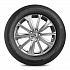 Шина Hankook Ventus evo SUV K137A 235/50 R18 101Y XL